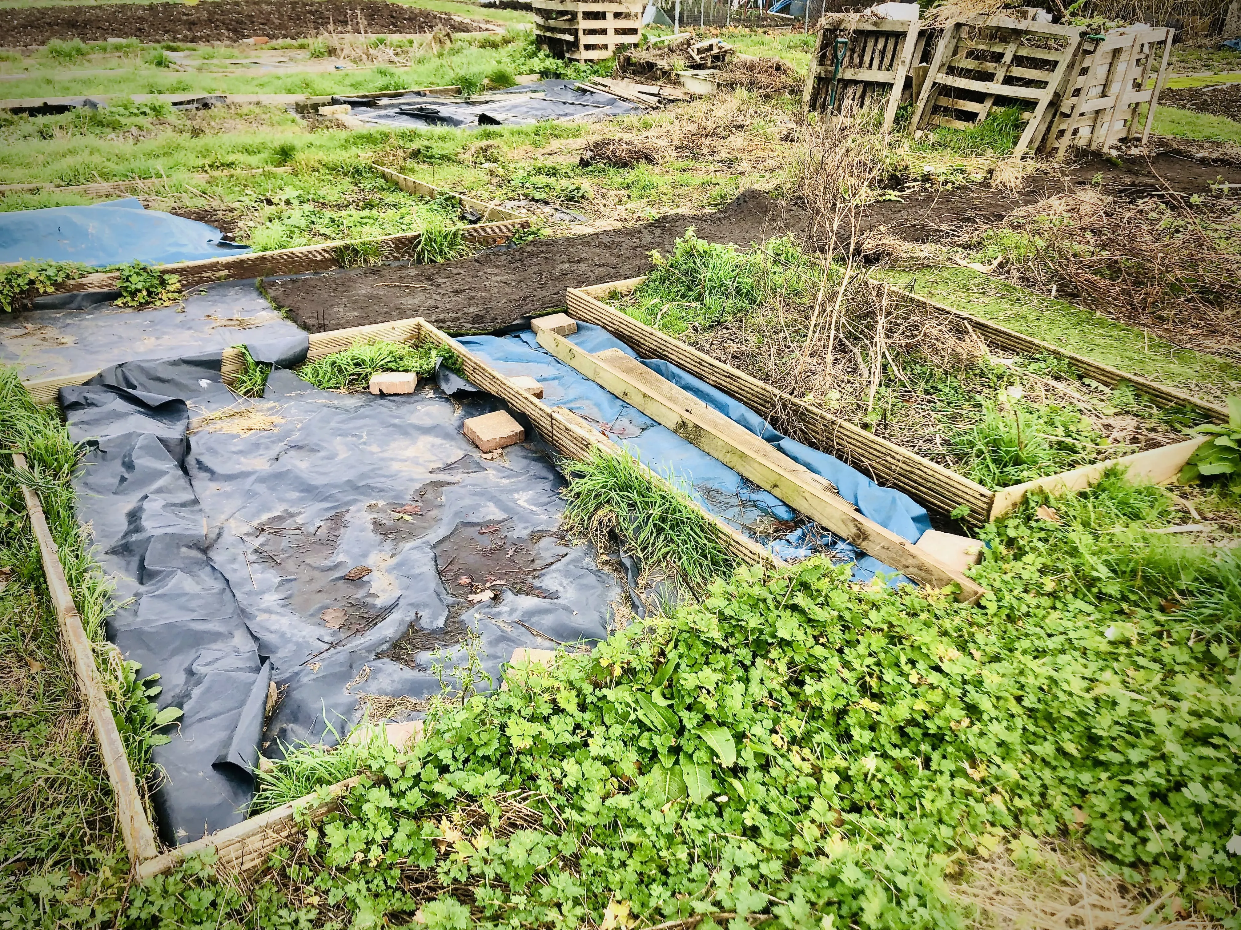 The was astro turf and plastic on soil.