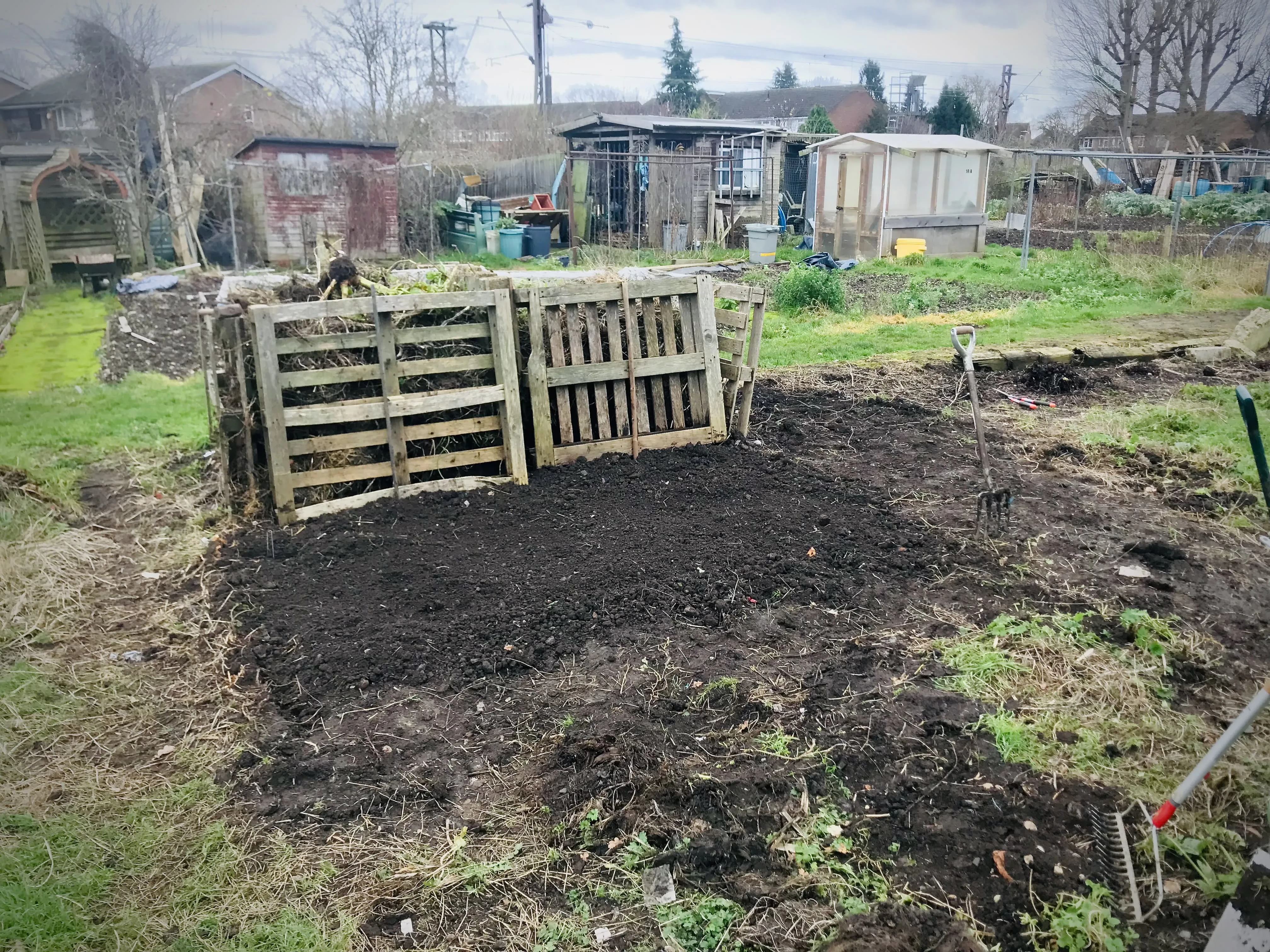 Allotment plot before clearing.