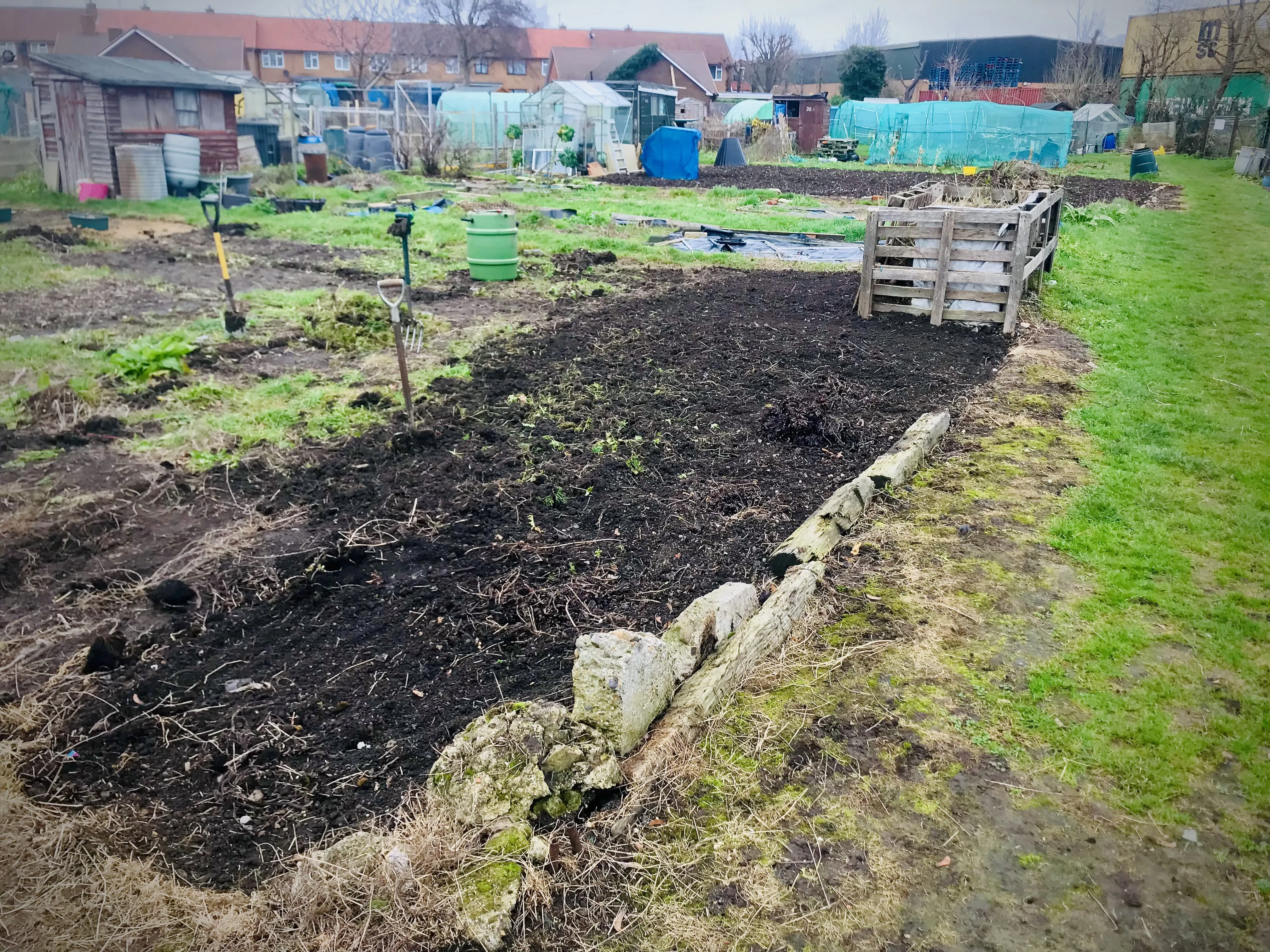 Shed on unkempt allotment plot.