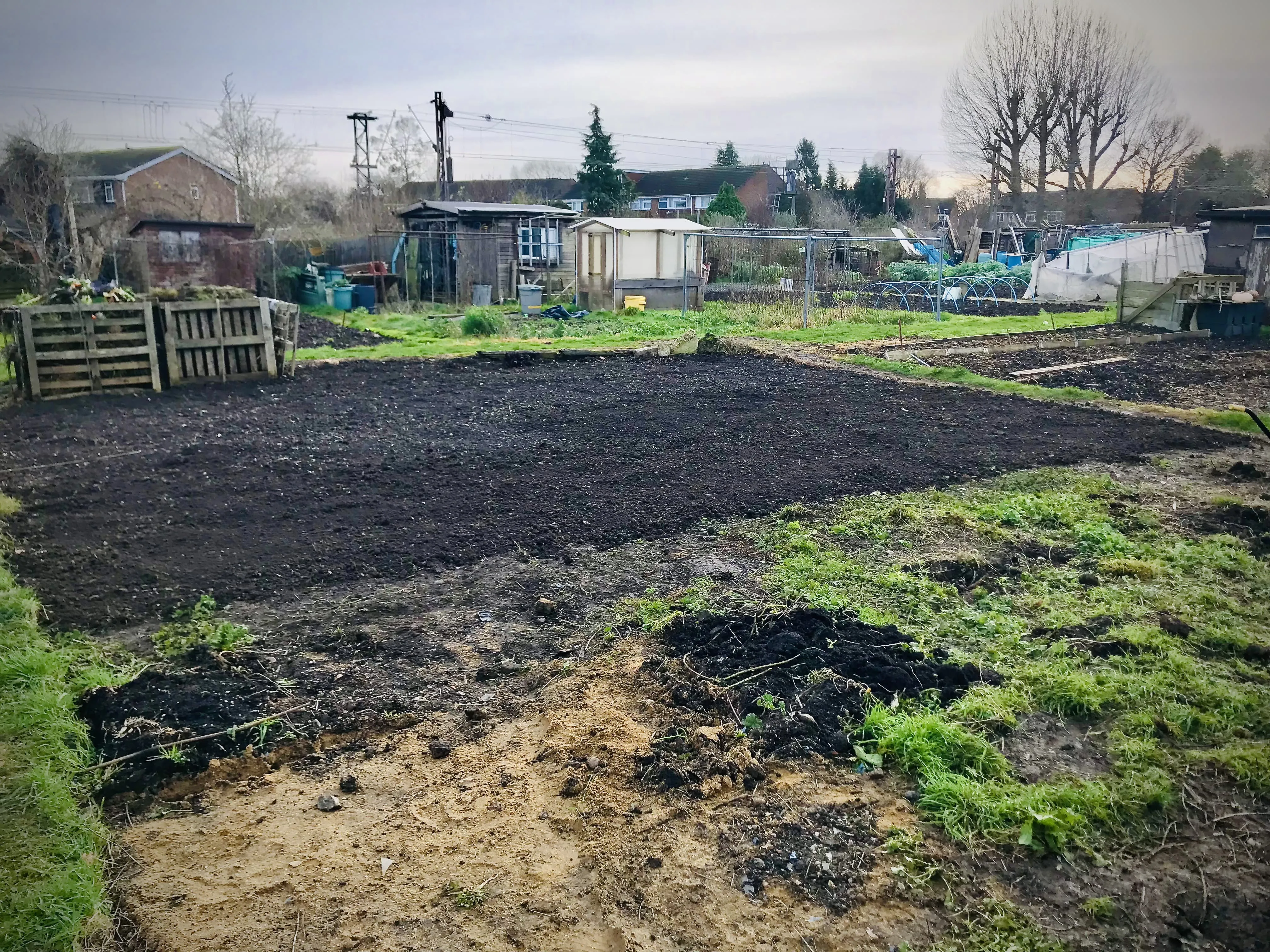 Shed on unkempt allotment plot.