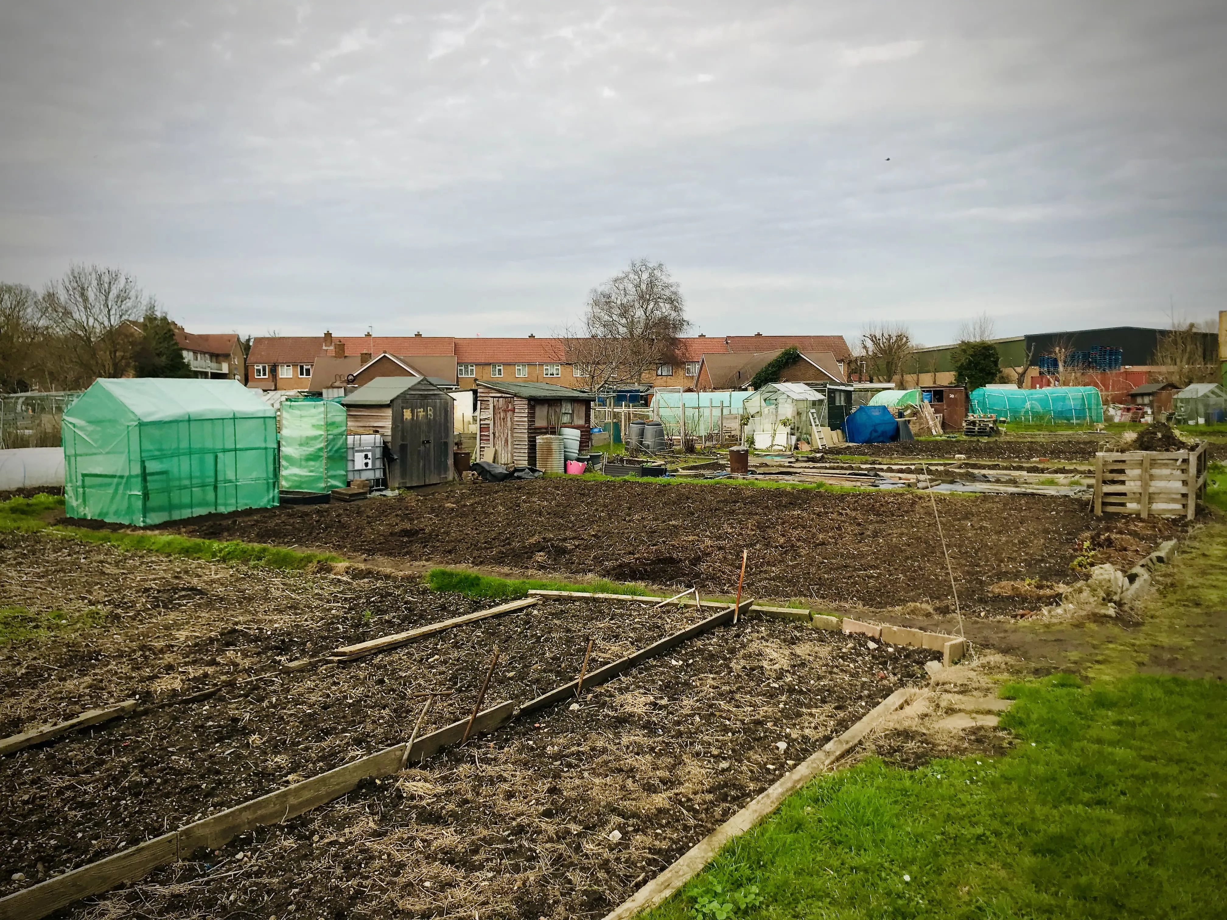 Outsunny greenhouse on allotment.