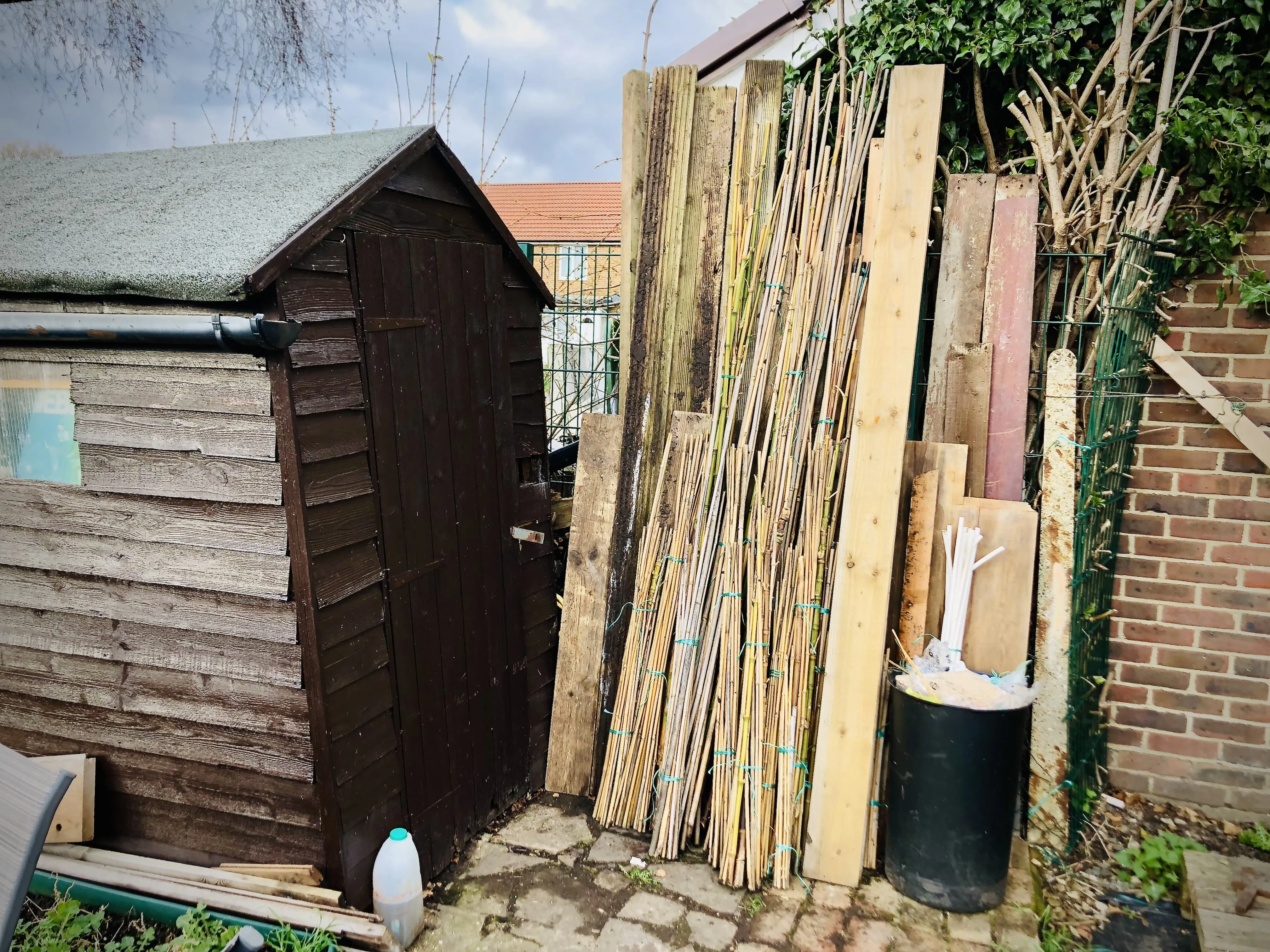 Canes tidied up in front of shed.