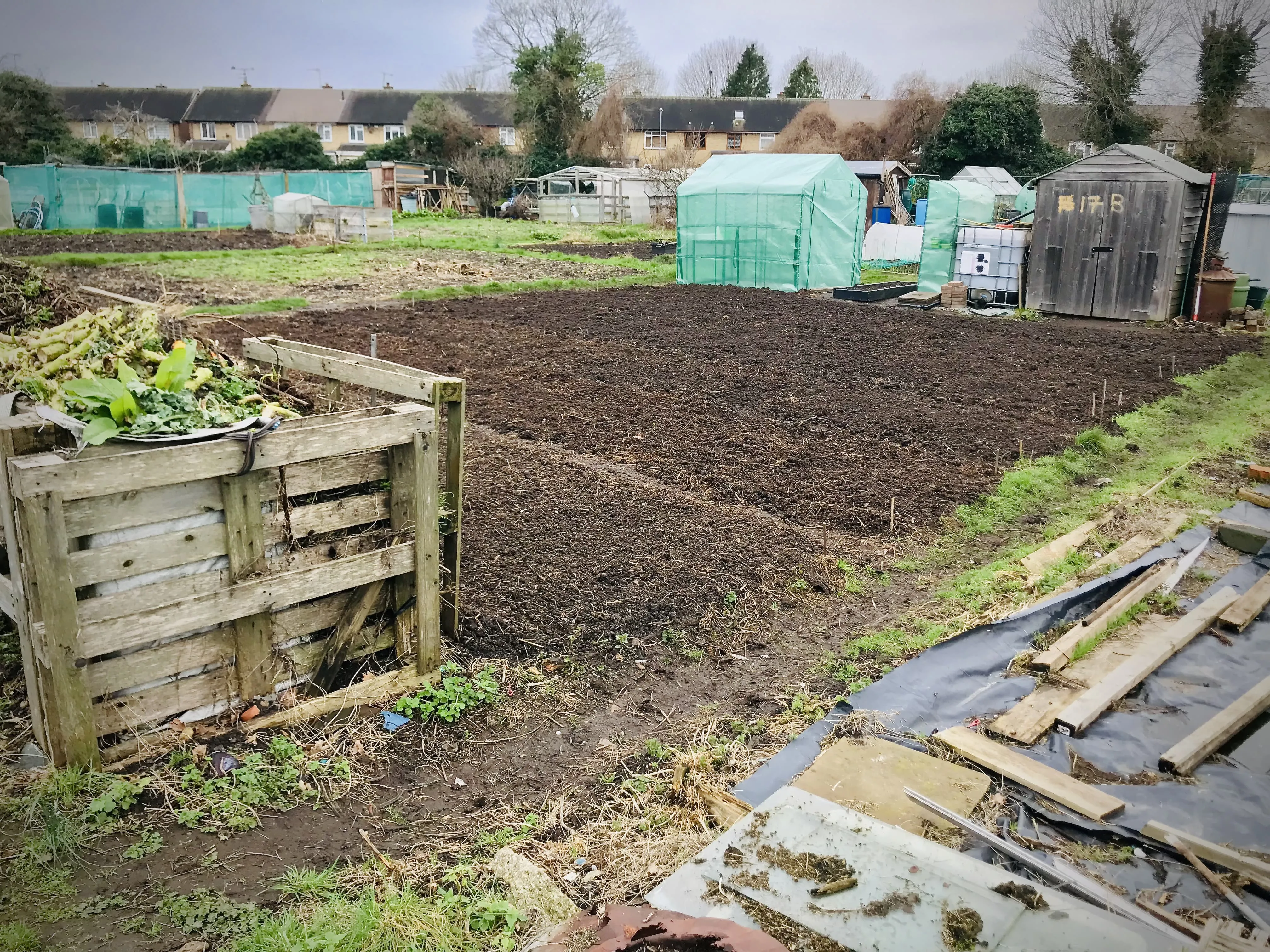 Newly rotovated allotment.