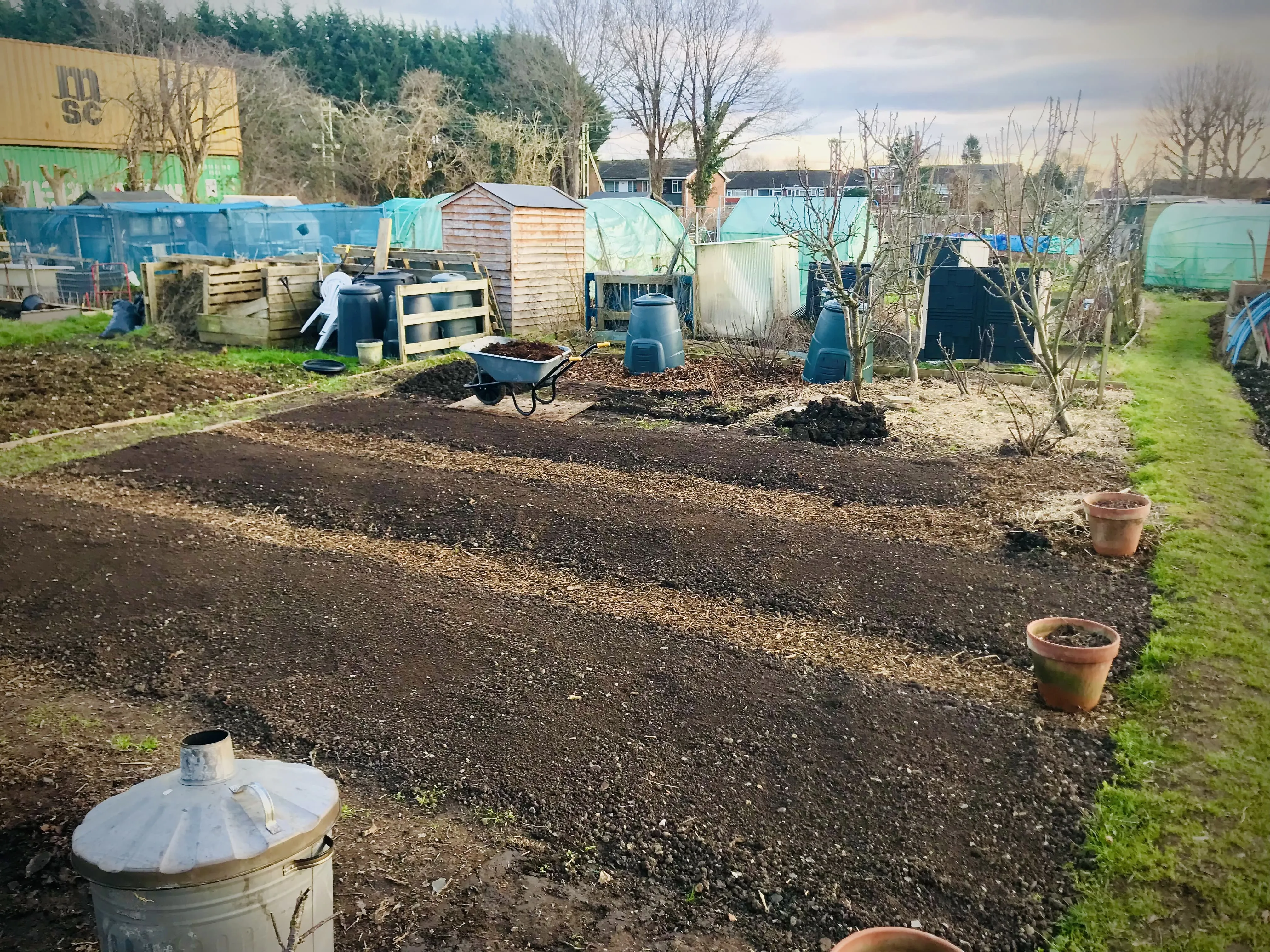 Allotment plot in preparation for Spring planting