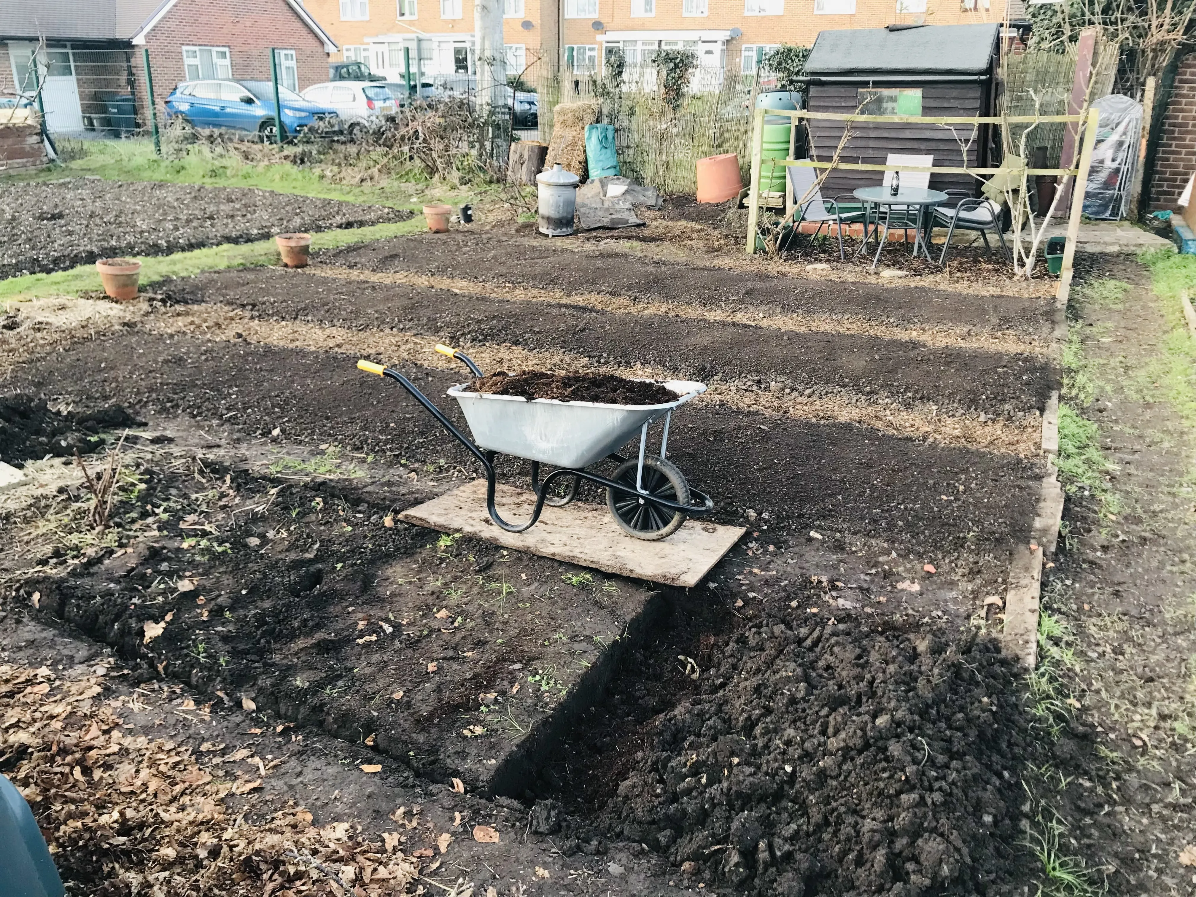 4 foot wide allotment beds double dug.