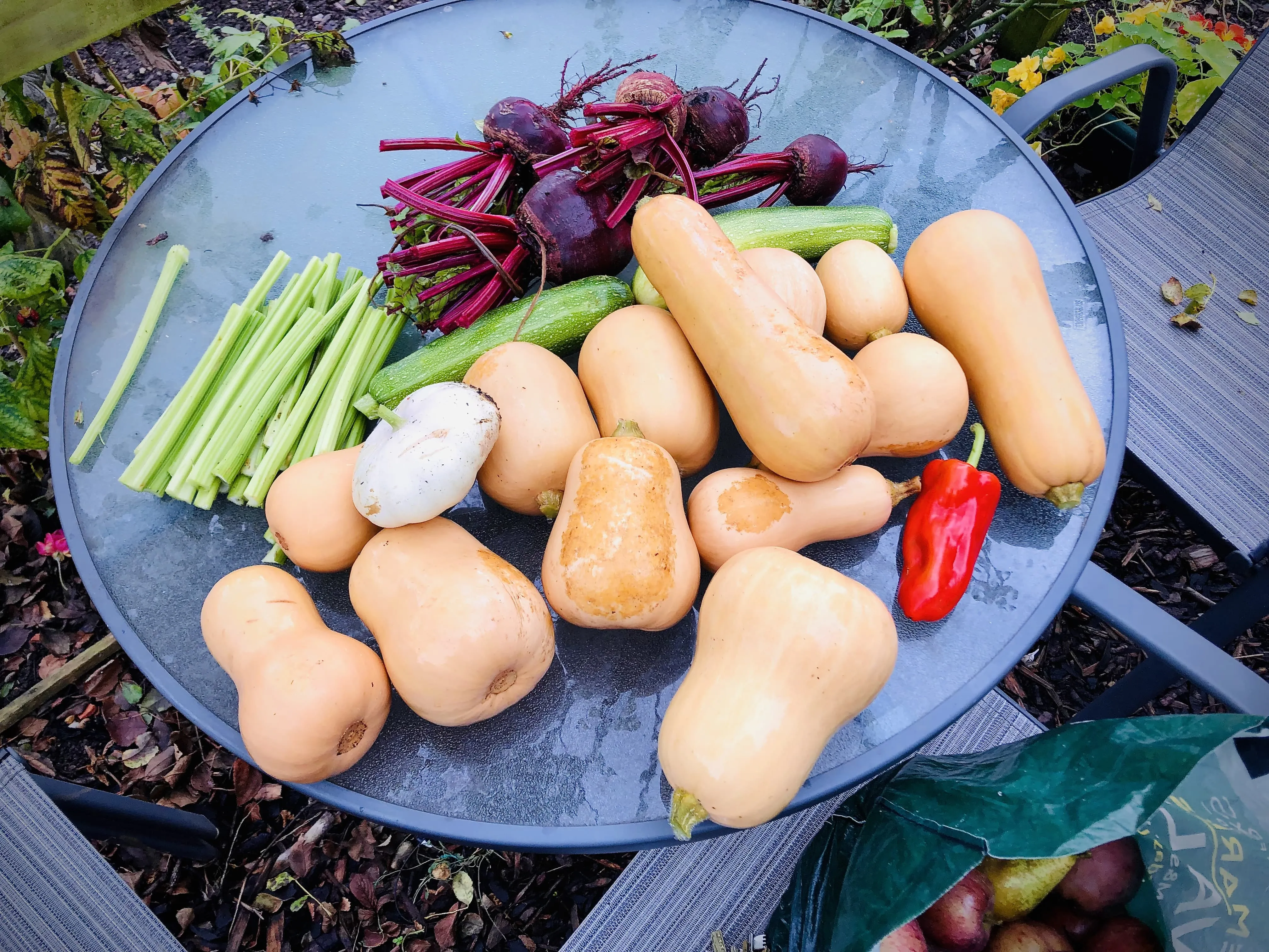 Selection of vegetables harvested from allotment.