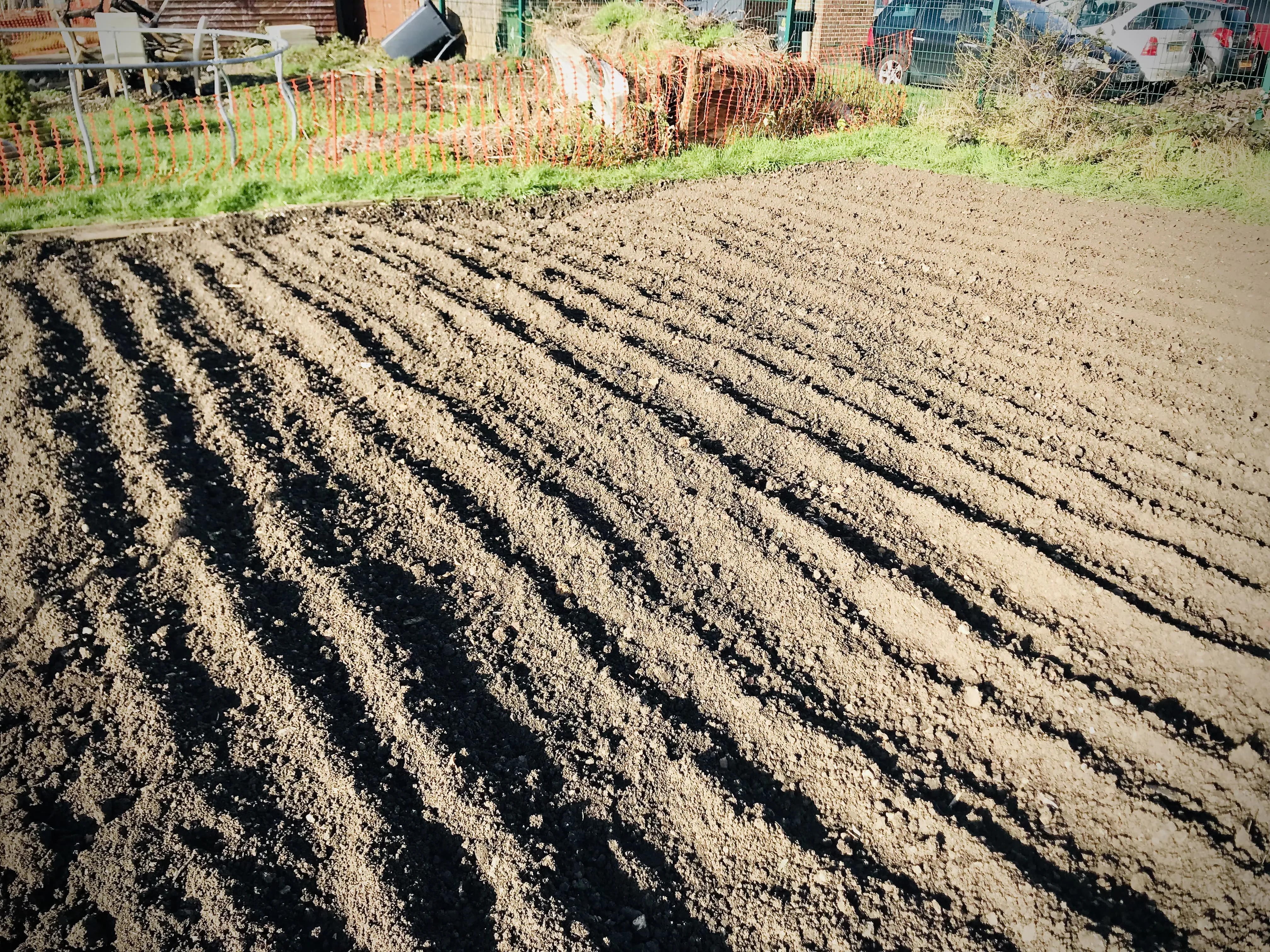 Newly rotovated allotment.