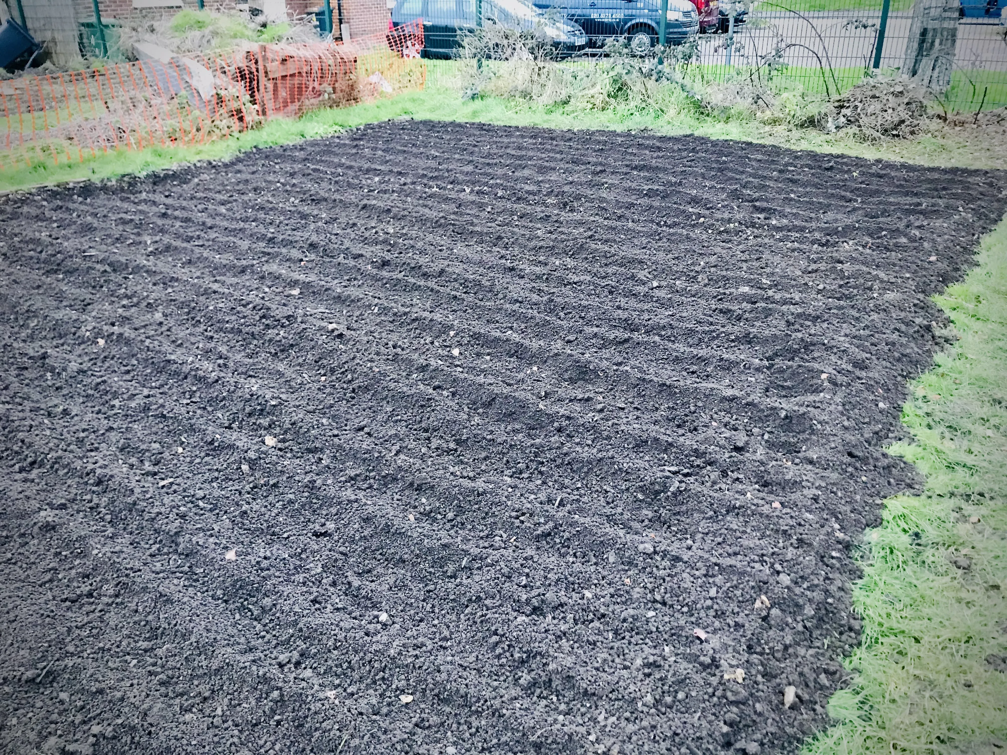 Newly rotovated allotment.